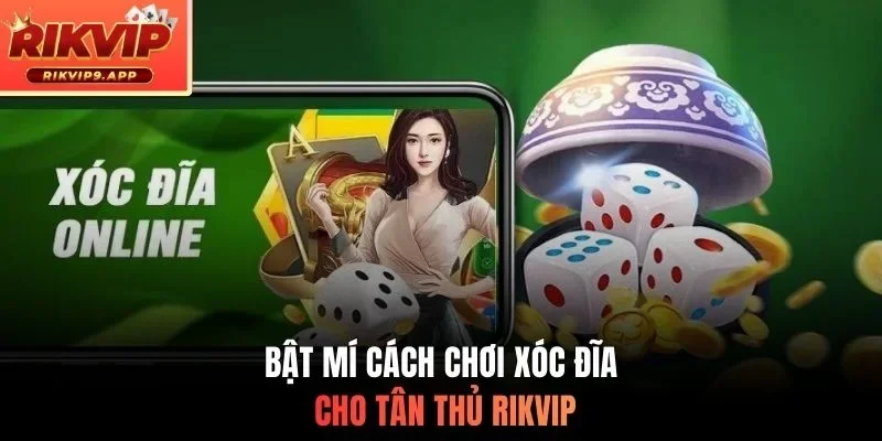 Bật mí cách chơi xóc đĩa cho tân thủ Rikvip