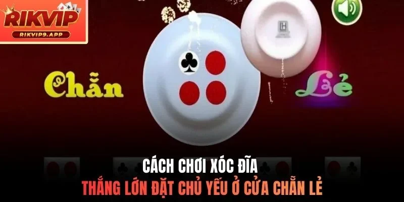 Cách chơi xóc đĩa thắng lớn đặt chủ yếu ở cửa chẵn lẻ