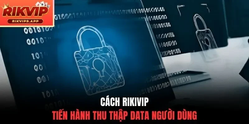 Cách Rikvip tiến hành thu thập data người dùng