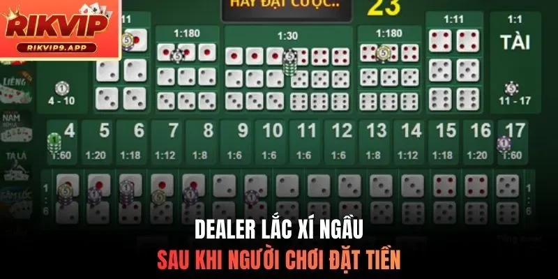 Dealer lắc xí ngầu sau khi người chơi đặt tiền
