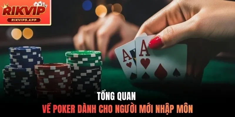 Tổng quan về Poker dành cho người mới nhập môn